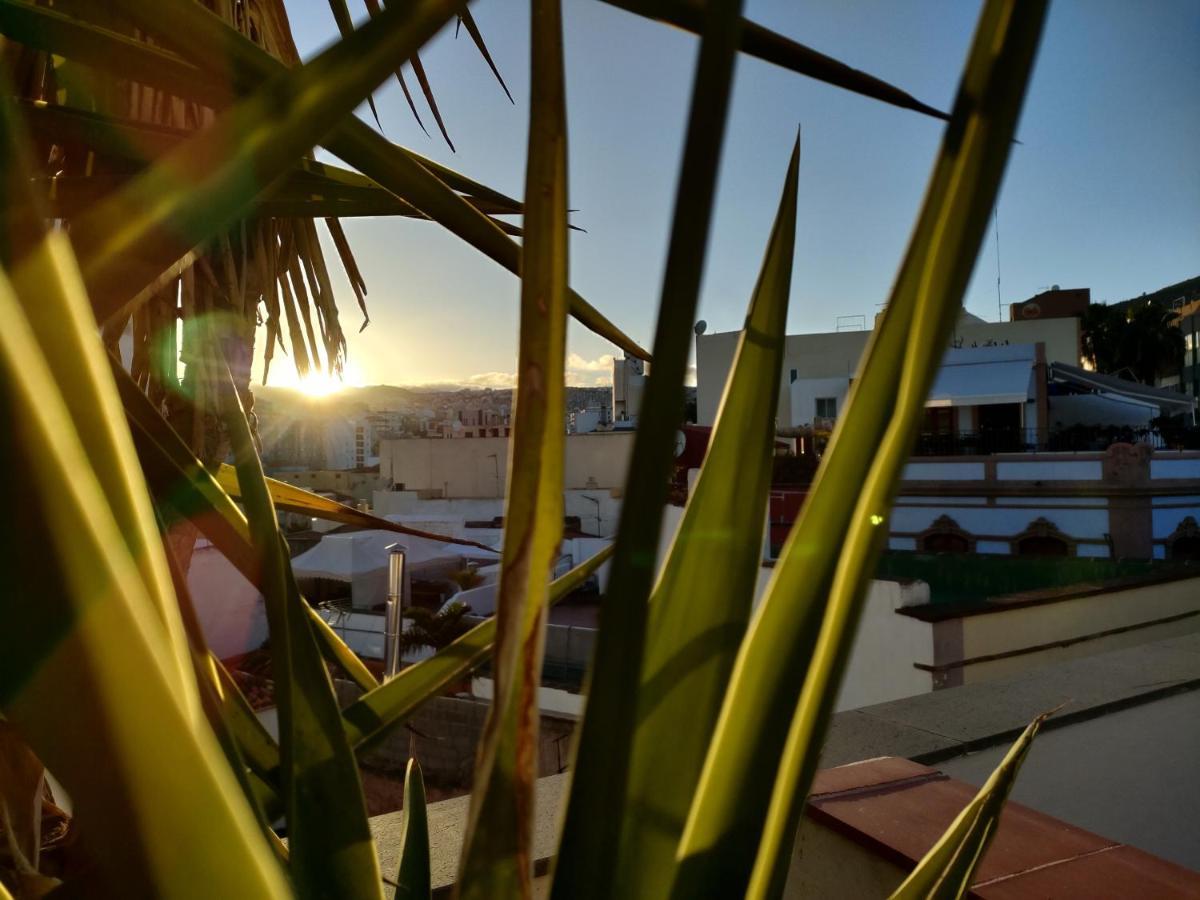圣克鲁斯-德特内里费Terraza Del Atlantico, Un Oasis En La Ciudad公寓 外观 照片